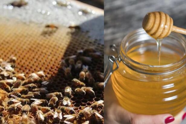 honey with warm water has several benefits