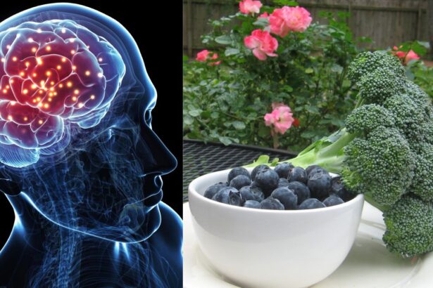 Elevate Your Brain Power