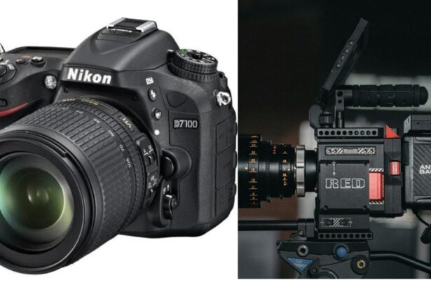 RED cameras